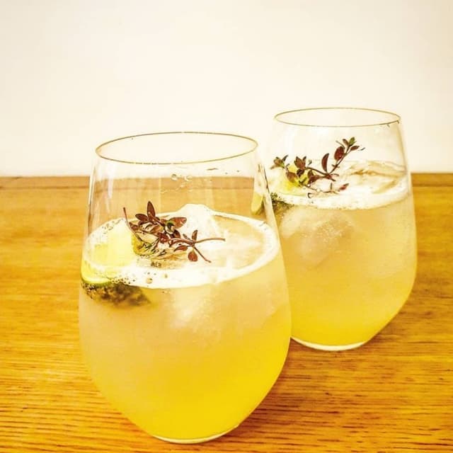 Lemon Elderflower Spritzer